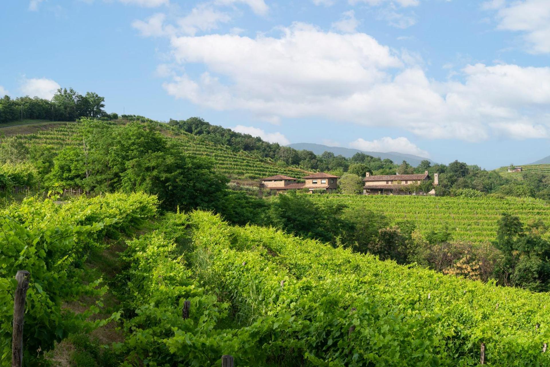 Cividale del FriuliLis Fadis Wine Relais别墅 外观 照片
